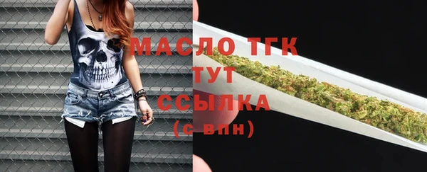 дмт Нягань
