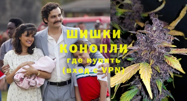 spice Новозыбков