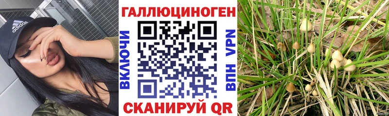 Псилоцибиновые грибы прущие грибы  наркота  OMG как зайти  Кушва 